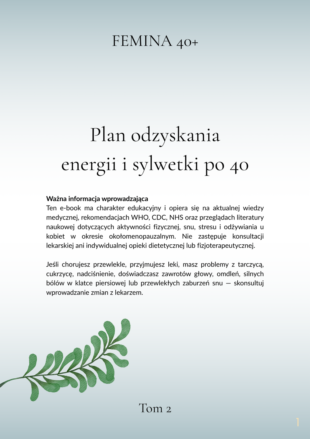 Plan odzyskania energii i formy po 40 TOM 2